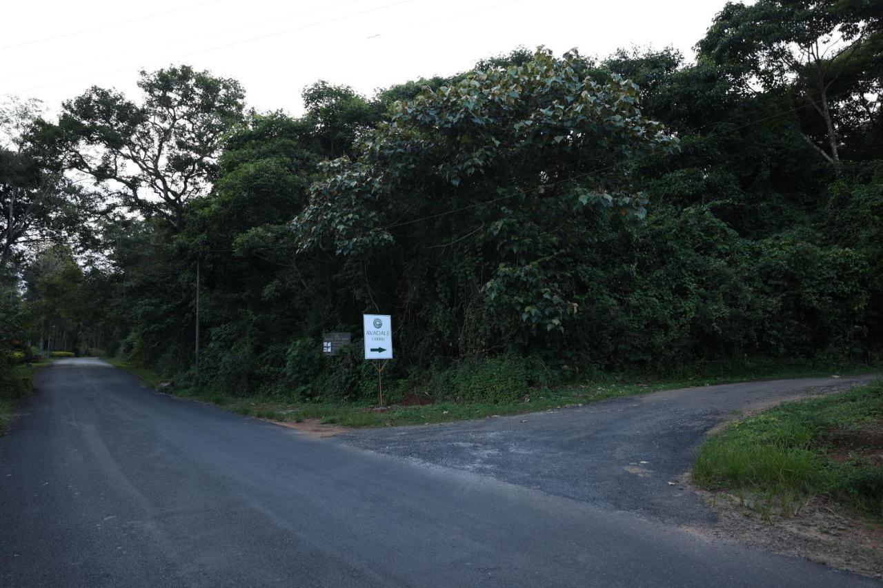 Avadale Coorg - Stag Groups Not Allowed Ammatti Esterno foto