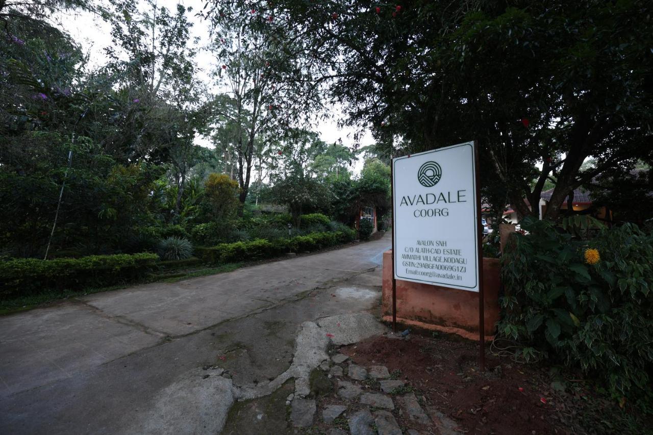 Avadale Coorg - Stag Groups Not Allowed Ammatti Esterno foto
